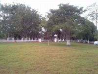 /album/inst-resgate-jo%c3%a3o-l-pizzato/a1441408-393266197470019-1156162768-n-jpg/