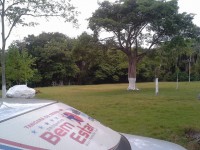 /album/inst-resgate-jo%c3%a3o-l-pizzato/a969164-393266290803343-614923079-n-jpg/